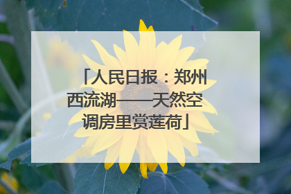 人民日报：郑州西流湖——天然空调房里赏莲荷