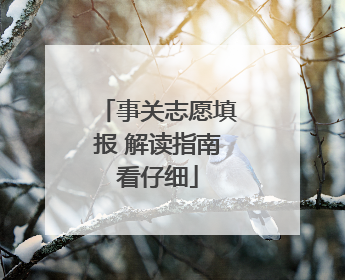 事关志愿填报 解读指南看仔细