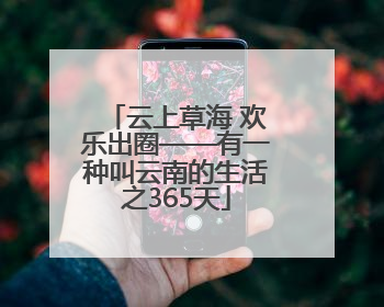 云上草海 欢乐出圈——有一种叫云南的生活之365天