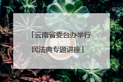 云南省委台办举行民法典专题讲座