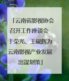 云南省影视协会召开工作座谈会 于荣光、王砚辉为云南影视产业发展出谋划策