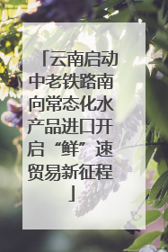 云南启动中老铁路南向常态化水产品进口开启“鲜”速贸易新征程
