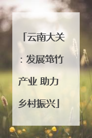 云南大关：发展筇竹产业 助力乡村振兴