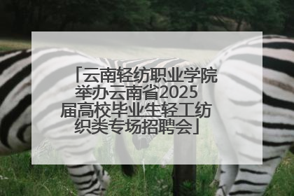 云南轻纺职业学院举办云南省2025届高校毕业生轻工纺织类专场招聘会