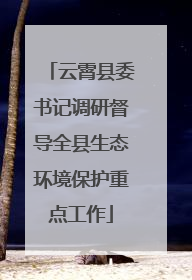 云霄县委书记调研督导全县生态环境保护重点工作