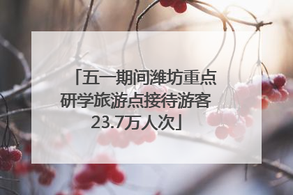 五一期间潍坊重点研学旅游点接待游客23.7万人次