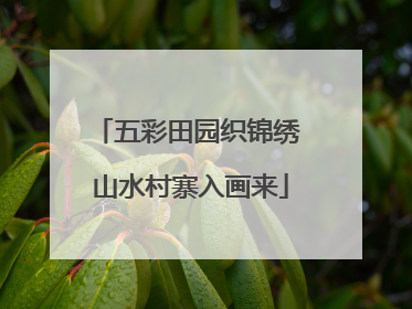 五彩田园织锦绣 山水村寨入画来