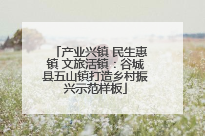 产业兴镇 民生惠镇 文旅活镇：谷城县五山镇打造乡村振兴示范样板