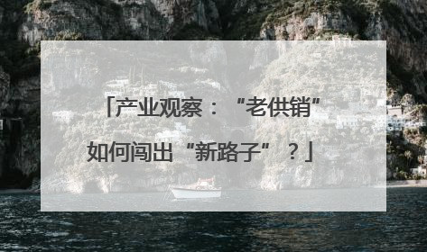 产业观察：“老供销”如何闯出“新路子”？