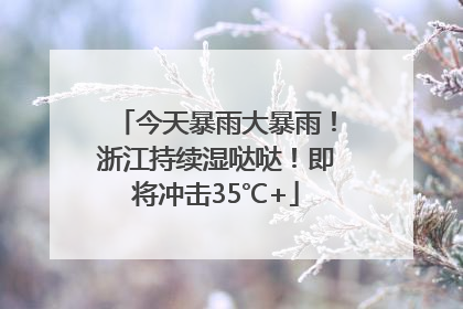 今天暴雨大暴雨！浙江持续湿哒哒！即将冲击35℃+