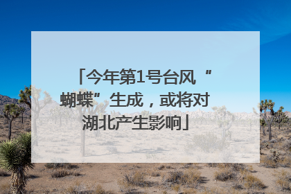 今年第1号台风“蝴蝶”生成，或将对湖北产生影响