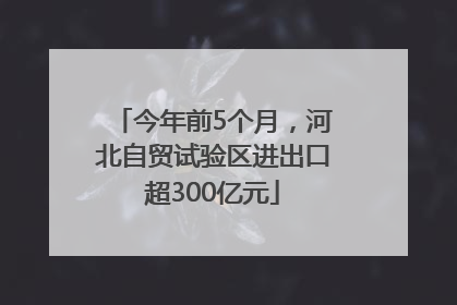 今年前5个月，河北自贸试验区进出口超300亿元