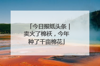 今日报纸头条｜卖火了棉袄，今年种了千亩棉花