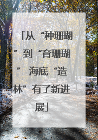 从“种珊瑚”到“育珊瑚” 海底“造林”有了新进展