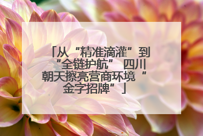 从“精准滴灌”到“全链护航” 四川朝天擦亮营商环境“金字招牌”