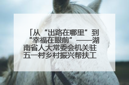 从“出路在哪里”到“幸福在眼前”——湖南省人大常委会机关驻五一村乡村振兴帮扶工作队书写振兴答卷