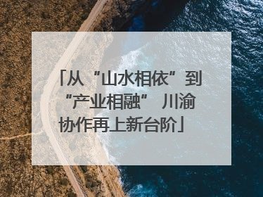 从“山水相依”到“产业相融” 川渝协作再上新台阶