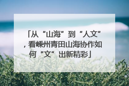 从“山海”到“人文”，看嵊州青田山海协作如何“文”出新精彩