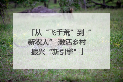 从“飞手荒”到“新农人” 激活乡村振兴“新引擎”