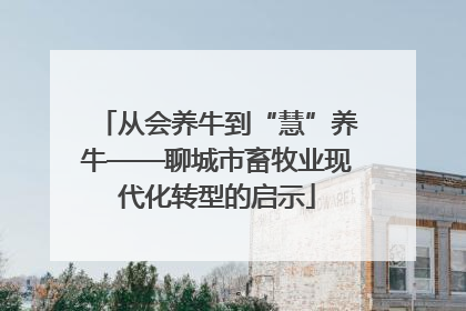 从会养牛到“慧”养牛——聊城市畜牧业现代化转型的启示