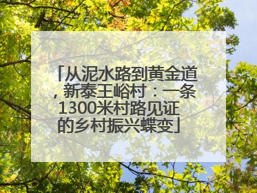 从泥水路到黄金道，新泰王峪村：一条1300米村路见证的乡村振兴蝶变