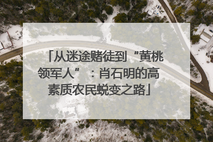 从迷途赌徒到“黄桃领军人”：肖石明的高素质农民蜕变之路