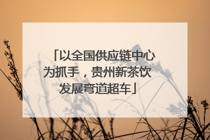 以全国供应链中心为抓手，贵州新茶饮发展弯道超车