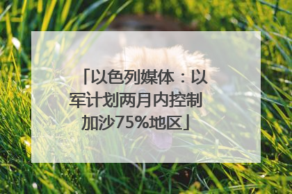 以色列媒体：以军计划两月内控制加沙75%地区