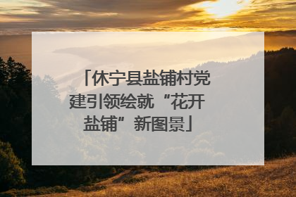 休宁县盐铺村党建引领绘就“花开盐铺”新图景