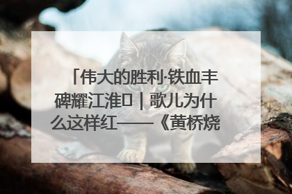 伟大的胜利·铁血丰碑耀江淮⑫｜歌儿为什么这样红——《黄桥烧饼歌》诞生记