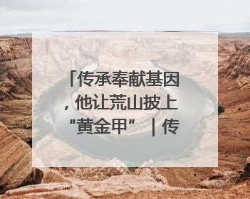 传承奉献基因，他让荒山披上“黄金甲”｜传家风薪火 颂家国情深