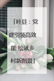 叶县：党建引领高效能 绘就乡村新图景