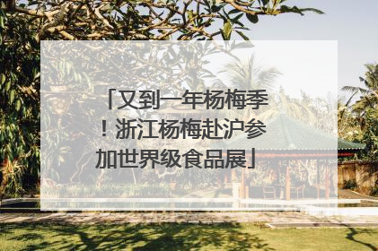 又到一年杨梅季！浙江杨梅赴沪参加世界级食品展