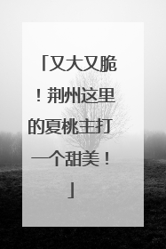 又大又脆！荆州这里的夏桃主打一个甜美！