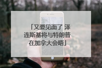 又要见面了 泽连斯基将与特朗普在加拿大会晤