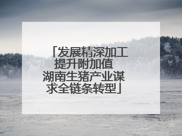 发展精深加工 提升附加值 湖南生猪产业谋求全链条转型