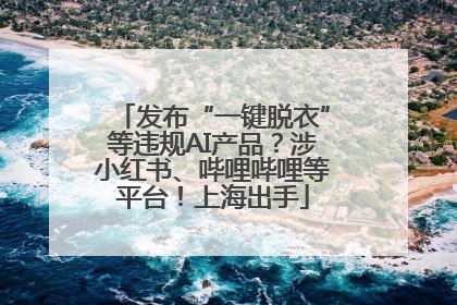 发布“一键脱衣”等违规AI产品？涉小红书、哔哩哔哩等平台！上海出手