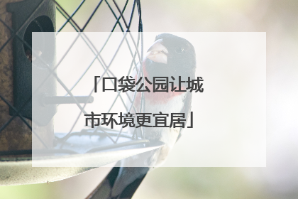 口袋公园让城市环境更宜居