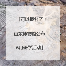 可以报名了！山东博物馆公布6月研学活动