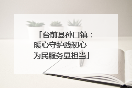台前县孙口镇：暖心守护践初心 为民服务显担当
