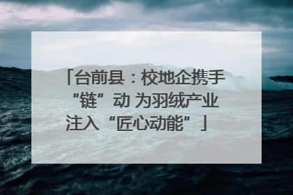 台前县：校地企携手“链”动 为羽绒产业注入“匠心动能”