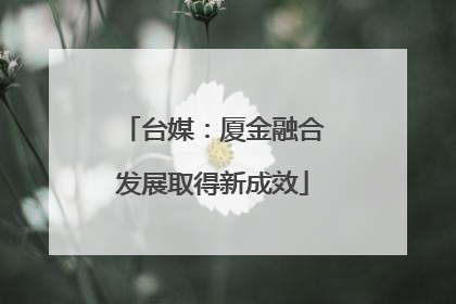 台媒：厦金融合发展取得新成效