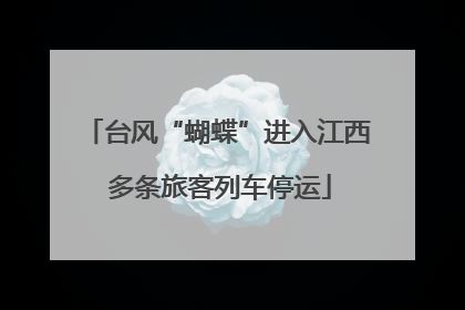 台风“蝴蝶”进入江西 多条旅客列车停运