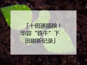 十倍速插秧！华容“铁牛”下田刷新纪录