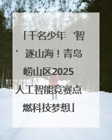 千名少年‘智’逐山海！青岛崂山区2025人工智能竞赛点燃科技梦想