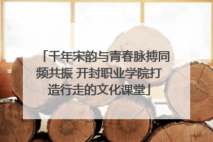 千年宋韵与青春脉搏同频共振 开封职业学院打造行走的文化课堂
