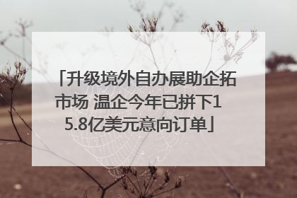 升级境外自办展助企拓市场 温企今年已拼下15.8亿美元意向订单