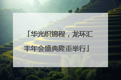 华光织锦程，龙环汇丰年会盛典隆重举行