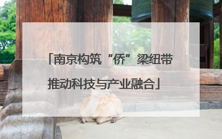 南京构筑“侨”梁纽带推动科技与产业融合