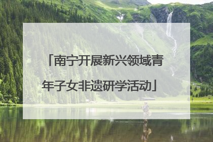 南宁开展新兴领域青年子女非遗研学活动